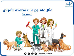 مثال على إجراءات مكافحة الأمراض المعدية مثال على إجراءات مكافحة الأمراض المعدية