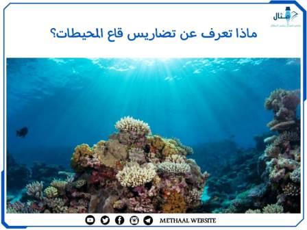 ماذا تعرف عن تضاريس قاع المحيطات؟
