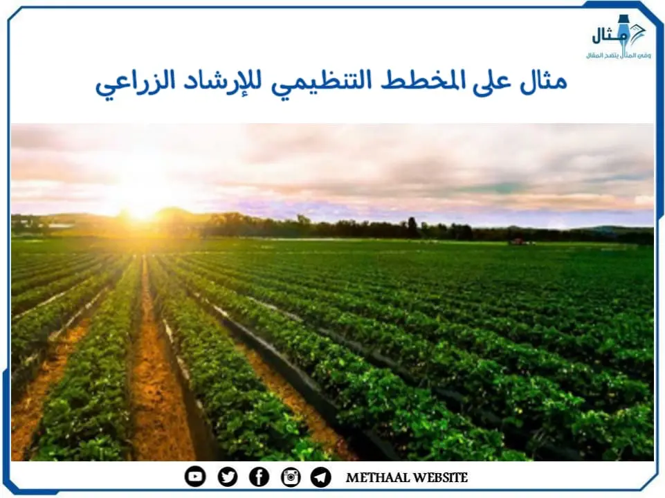 مثال على المخطط التنظيمي للإرشاد الزراعي مثال على المخطط التنظيمي للإرشاد الزراعي