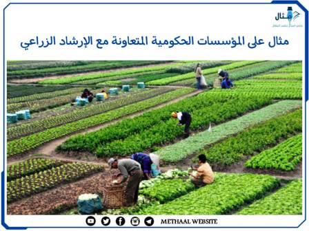 مثال على المؤسسات الحكومية المتعاونة مع الإرشاد الزراعي مثال على المؤسسات الحكومية المتعاونة مع الإرشاد الزراعي