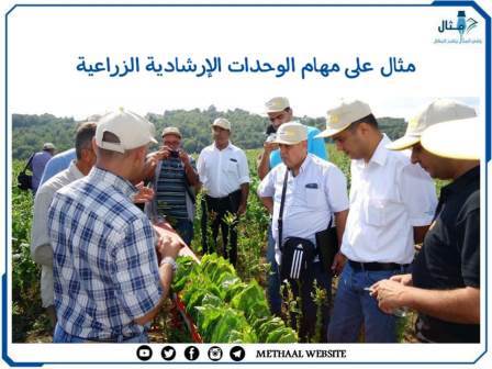 مثال على مهام الوحدات الإرشادية الزراعية مثال على مهام الوحدات الإرشادية الزراعية