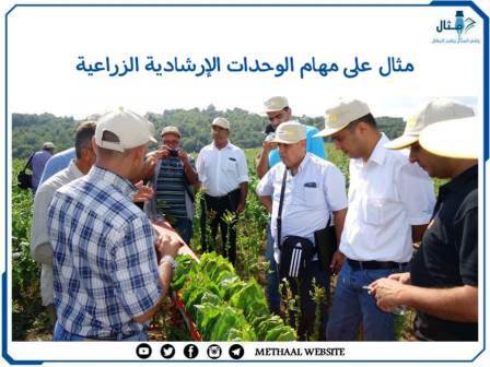 مثال على مهام الوحدات الإرشادية الزراعية 