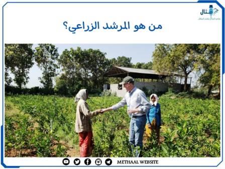 من هو المرشد الزراعي؟ من هو المرشد الزراعي؟
