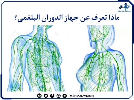 ماذا تعرف عن جهاز الدوران البلغمي؟