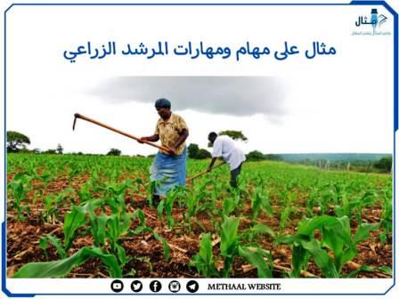 مثال على مهام ومهارات المرشد الزراعي مثال على مهام ومهارات المرشد الزراعي