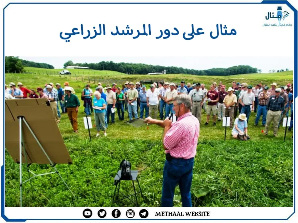 مثال على دور المرشد الزراعي