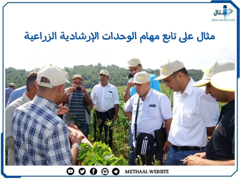 مثال على تابع مهام الوحدات الإرشادية الزراعية مثال على تابع مهام الوحدات الإرشادية الزراعية