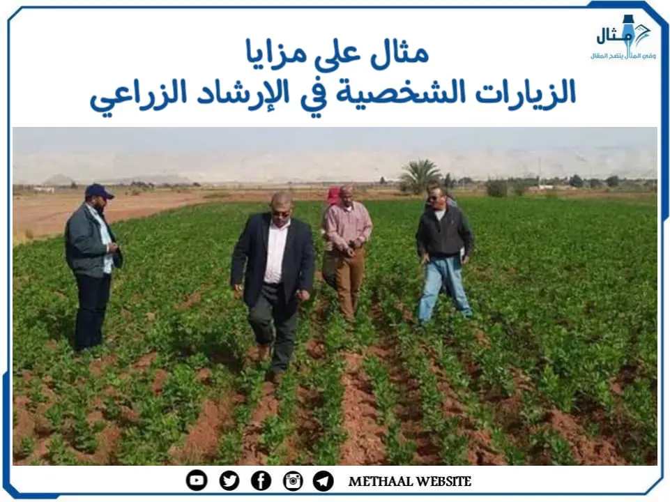 مثال على مزايا الزيارات الشخصية في الإرشاد الزراعي مثال على مزايا الزيارات الشخصية في الإرشاد الزراعي