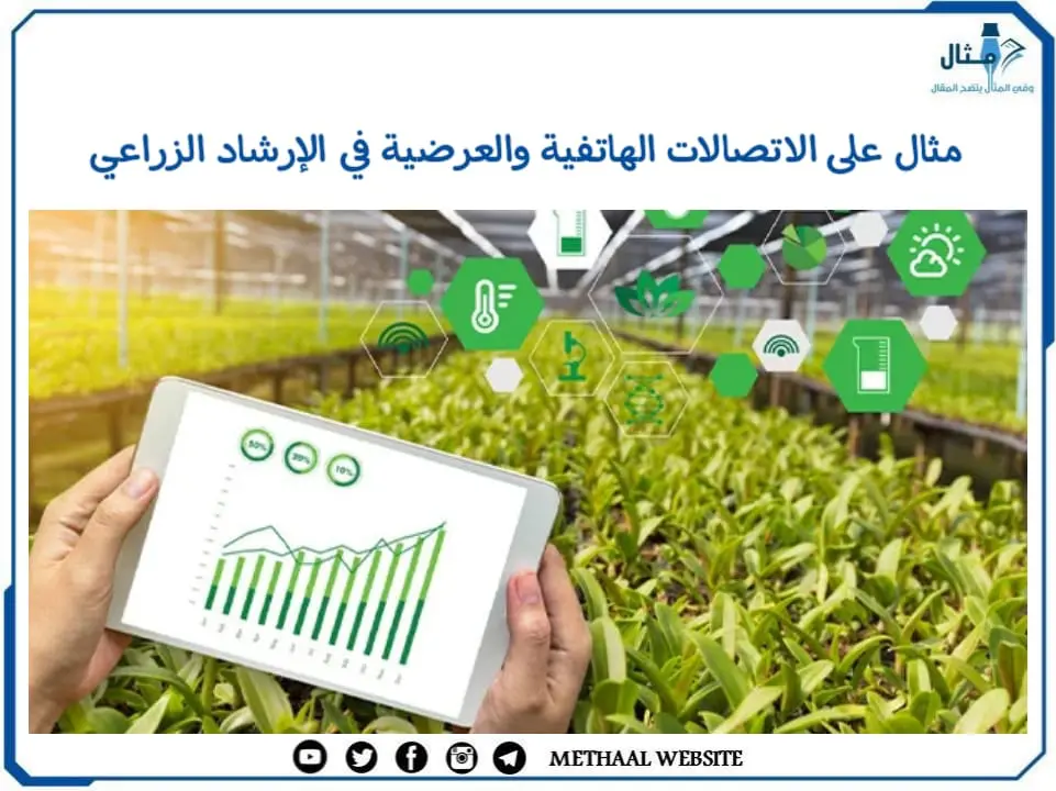 مثال على الاتصالات الهاتفية والعرضية في الإرشاد الزراعي مثال على الاتصالات الهاتفية والعرضية في الإرشاد الزراعي