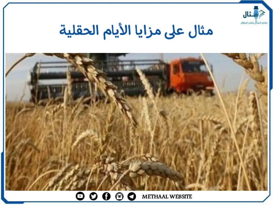 مثال على مزايا الأيام الحقلية مثال على مزايا الأيام الحقلية