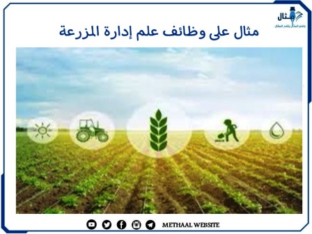 مثال على وظائف علم إدارة المزرعة 