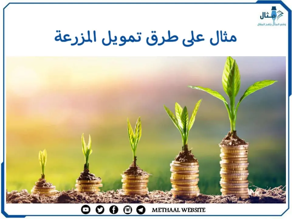 مثال على طرق تمويل المزرعة مثال على طرق تمويل المزرعة