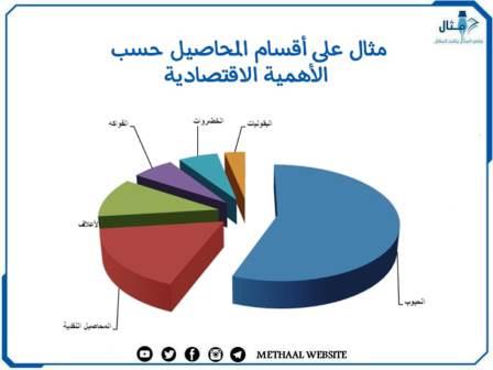 مثال على أقسام المحاصيل حسب الأهمية الاقتصادية