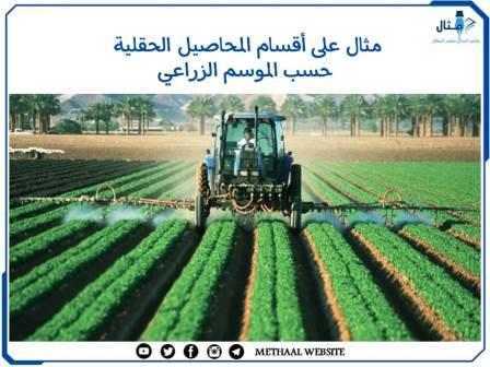 مثال على أقسام المحاصيل الحقلية حسب الموسم الزراعي مثال على أقسام المحاصيل الحقلية حسب الموسم الزراعي