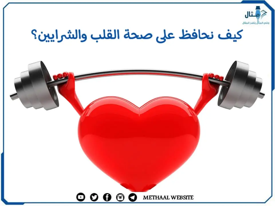 كيف نحافظ على صحة القلب والشرايين؟ كيف نحافظ على صحة القلب والشرايين؟