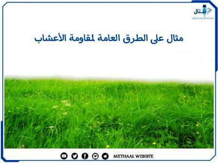 مثال على الطرق العامة لمقاومة الأعشاب مثال على الطرق العامة لمقاومة الأعشاب