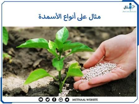 مثال على أنواع الأسمدة مثال على أنواع الأسمدة