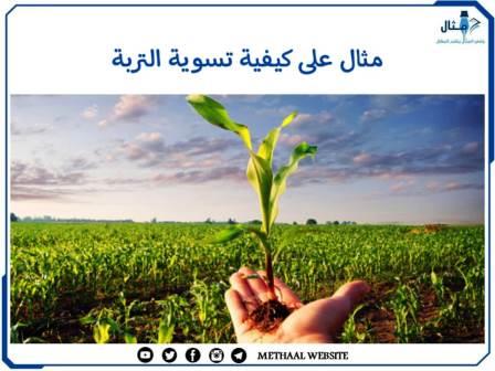 مثال على كيفية تسوية التربة مثال على كيفية تسوية التربة
