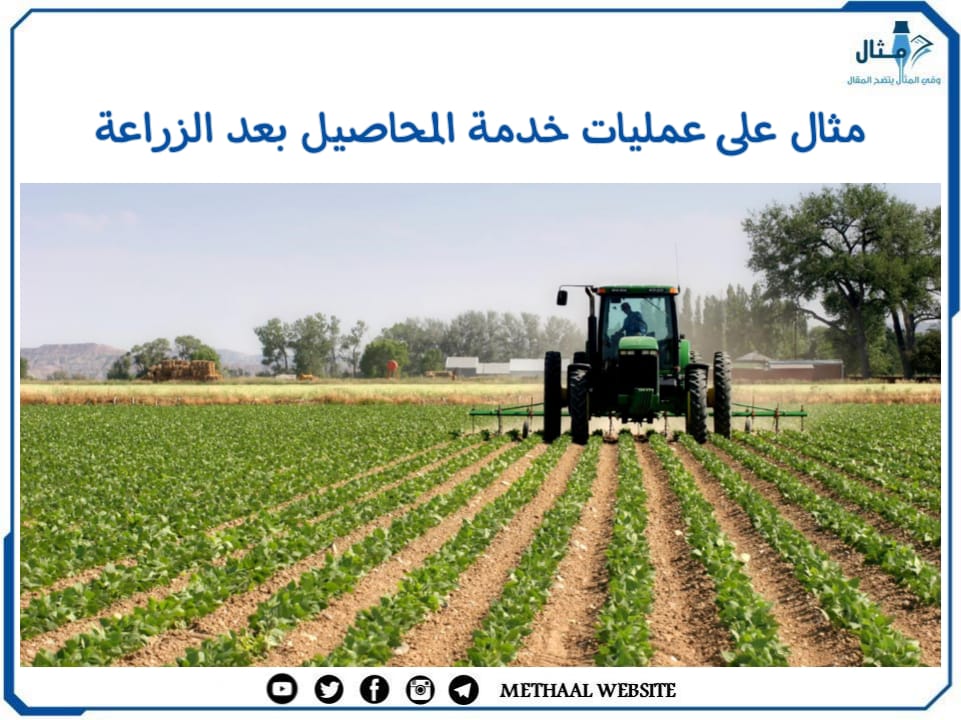 مثال على عمليات خدمة المحاصيل بعد الزراعة مثال على عمليات خدمة المحاصيل بعد الزراعة
