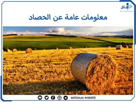 معلومات عامة عن الحصاد معلومات عامة عن الحصاد