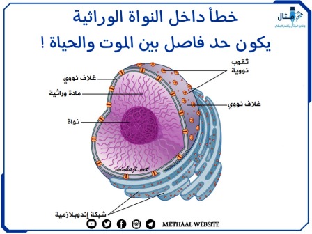 خطأ داخل النواة الوراثية يكون حد فاصل بين الموت والحياة !