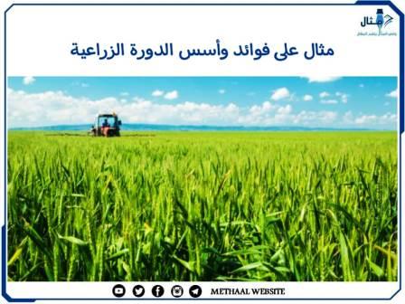 مثال على فوائد وأسس الدورة الزراعية مثال على فوائد وأسس الدورة الزراعية