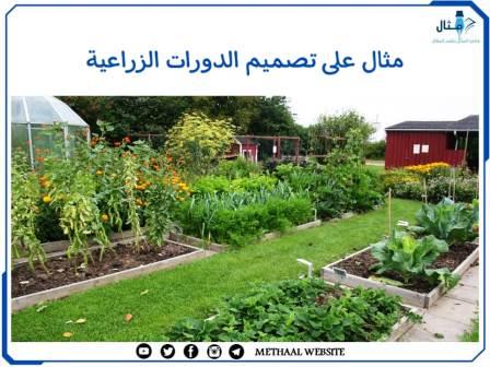 مثال على تصميم الدورات الزراعية مثال على تصميم الدورات الزراعية