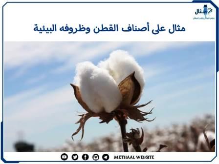 مثال على أصناف القطن وظروفه البيئية مثال على أصناف القطن وظروفه البيئية