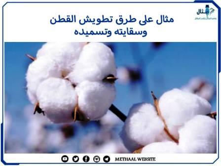 مثال على طرق تطويش القطن وسقايته وتسميده