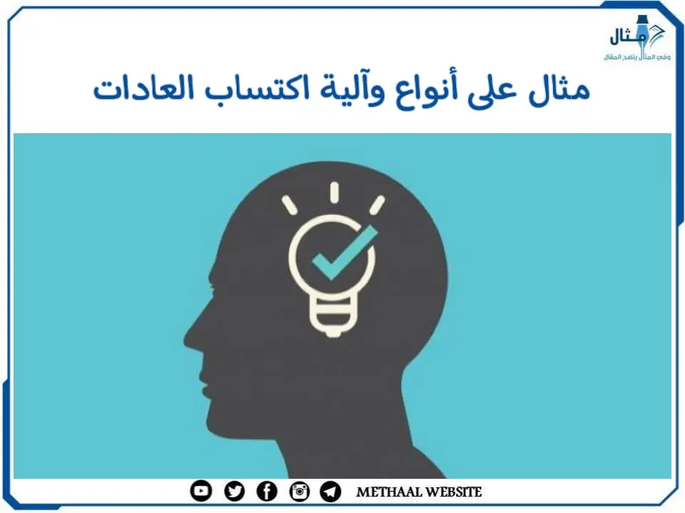 مثال على أنواع وآلية اكتساب العادات مثال على أنواع وآلية اكتساب العادات