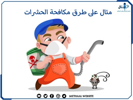 مثال على طرق مكافحة الحشرات