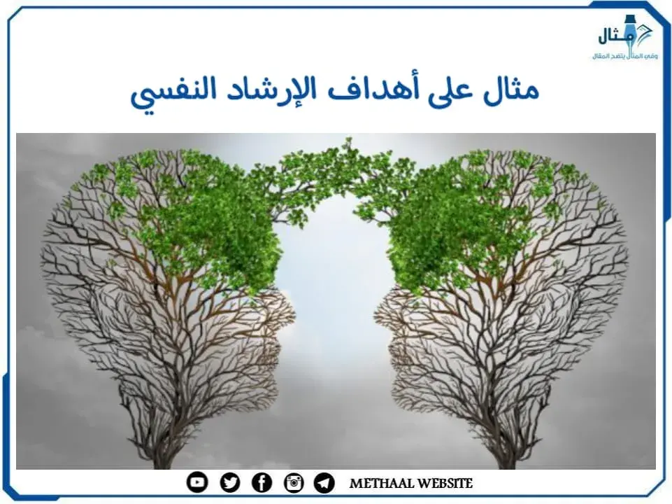 مثال على أهداف الإرشاد النفسي مثال على أهداف الإرشاد النفسي