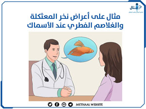 مثال على أعراض نخر المعثكلة والغلاصم الفطري عند الأسماك 