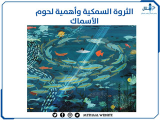 الثروة السمكية وأهمية لحوم الأسماك الثروة السمكية وأهمية لحوم الأسماك