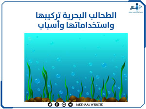 الطحالب البحرية تركيبها واستخداماتها وأسباب استزراعها الطحالب البحرية تركيبها واستخداماتها وأسباب استزراعها