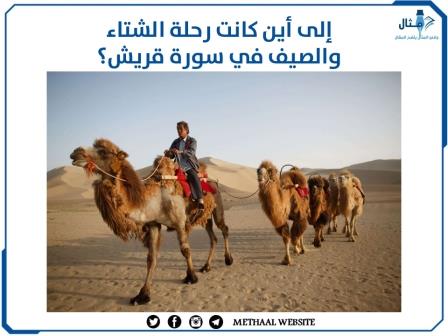 إلى أين كانت رحلة الشتاء والصيف في سورة قريش؟ إلى أين كانت رحلة الشتاء والصيف في سورة قريش؟