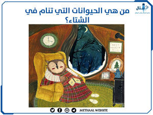 ما هي الحيوانات التي تنام في الشتاء؟ ما هي الحيوانات التي تنام في الشتاء؟