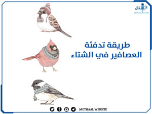 ما هي طريقة تدفئة العصافير في الشتاء؟ ما هي طريقة تدفئة العصافير في الشتاء؟