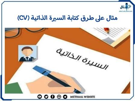 مثال على طرق كتابة السيرة الذاتية (CV)