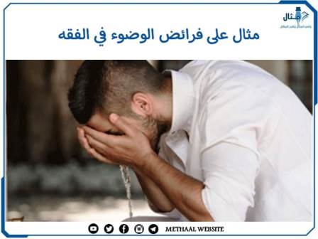 مثال على فرائض الوضوء في الفقه