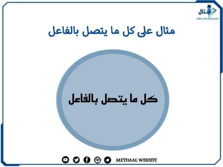 مثال على كل ما يتصل بالفاعل