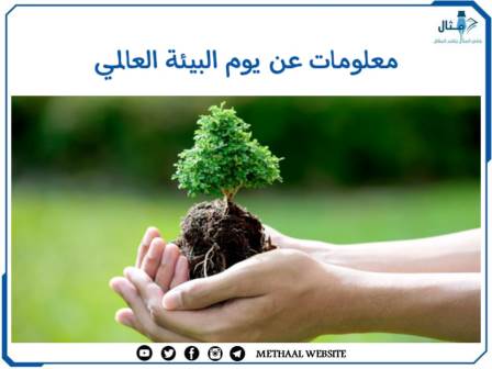 معلومات عن يوم البيئة العالمي